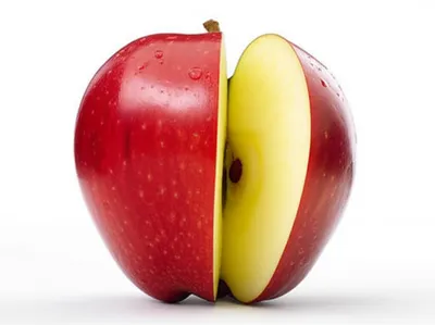 Illustration slashed - Image 1