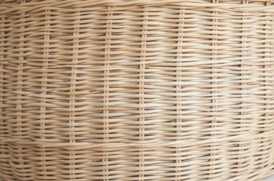 Illustration cane - Image 1