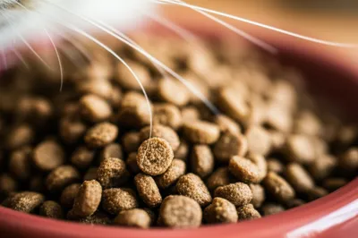 Illustration crunchy