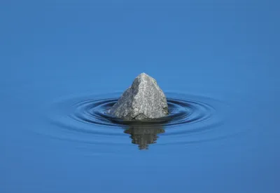 Illustration disturbs