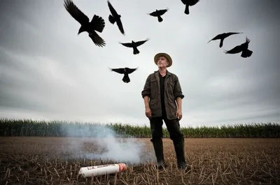 Illustration rook - Image 1