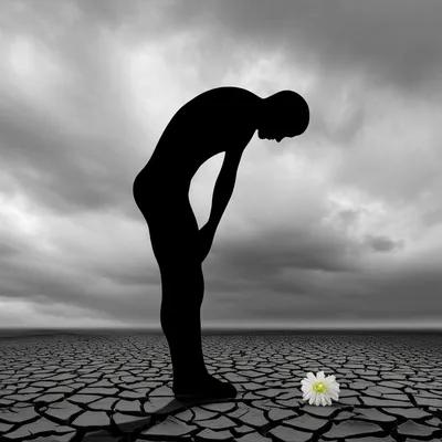 Illustration pines - Image 1