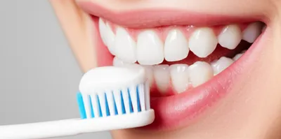 Illustration brushing - Image 1