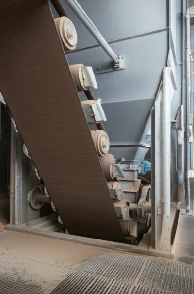 Illustration leg - Image 1