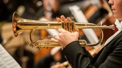 Illustration tuba - Image 1