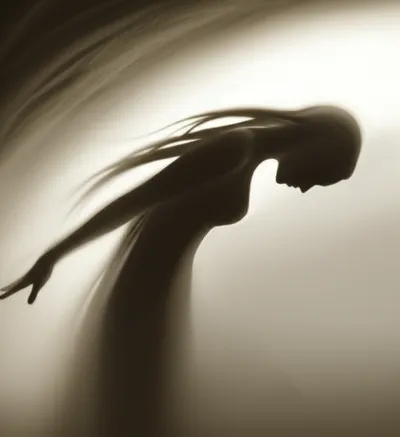 Illustration willow - Image 1