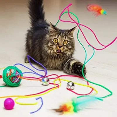 Illustration mess - Image 1