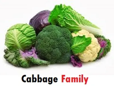 Illustration family - Image 2