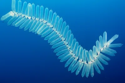 Illustration stock - Image 1