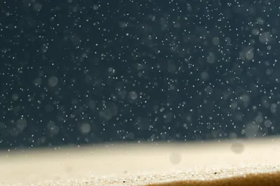 Illustration silt - Image 1