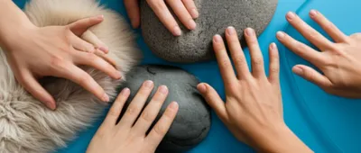 Hình ảnh minh họa haptics