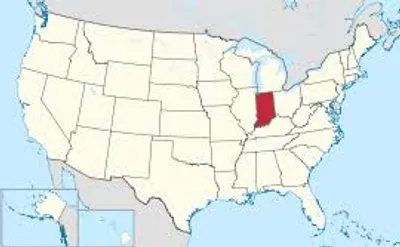 Illustration in - Image 4