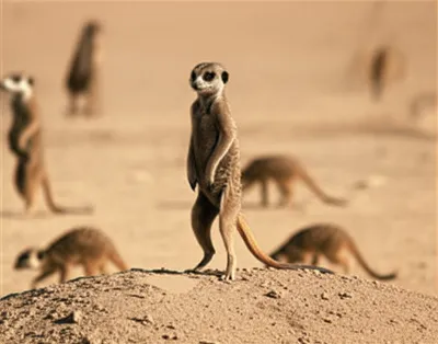 Illustration watch - Image 1