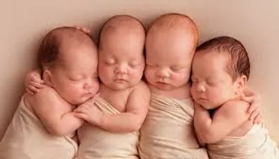 Illustration quadruplet - Image 2