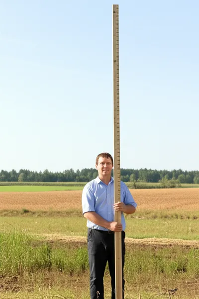 Illustration yards - Image 1