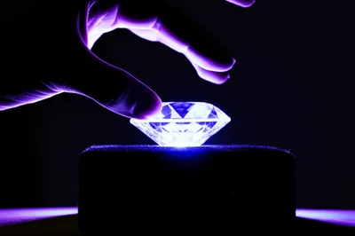 Illustration coon - Image 1