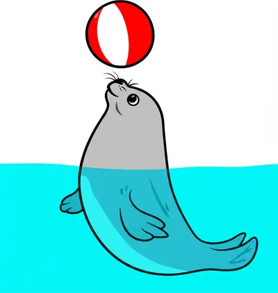 Illustration pinniped - Image 1