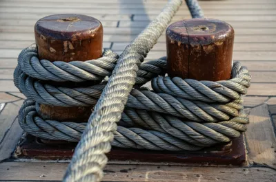 Illustration bitters - Image 1