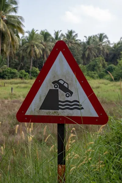 Illustration caveat - Image 2