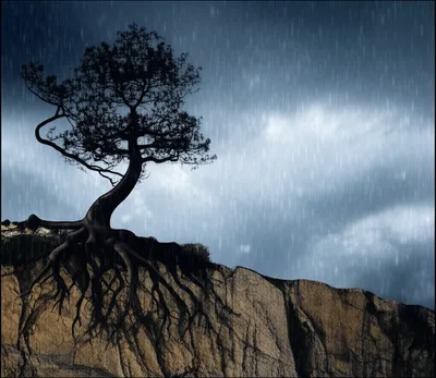 Illustration staying - Image 1