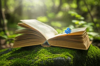 Illustration remembrance - Image 1