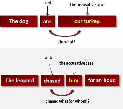 Illustration case - Image 2