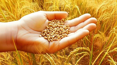 Illustration taxes - Image 1