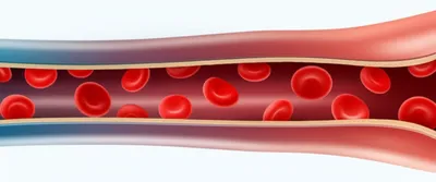 Illustration vasodilation