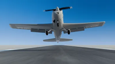 Hình ảnh minh họa porpoises - Ảnh 1