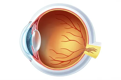 Illustration humours - Image 1