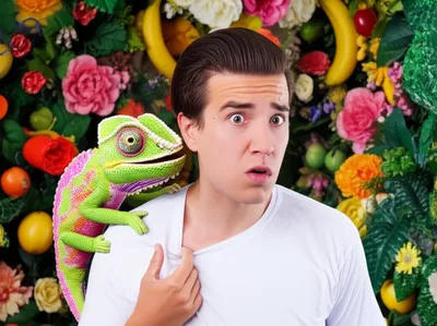 Illustration hum - Image 1