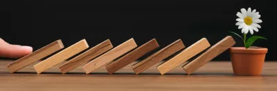 Illustration ter - Image 1