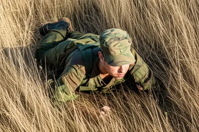 Illustration bellying