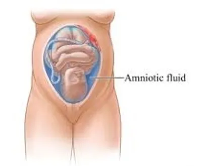 Illustration water - Image 5