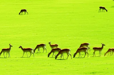 Illustration feeds - Image 1