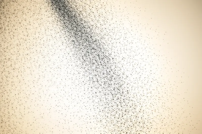 Ilustración visual de la palabra "powder" - Polvo