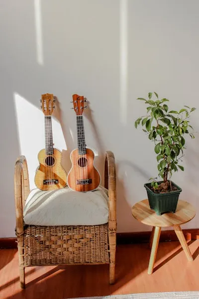 Hình ảnh minh họa ukuleles - Ảnh 2
