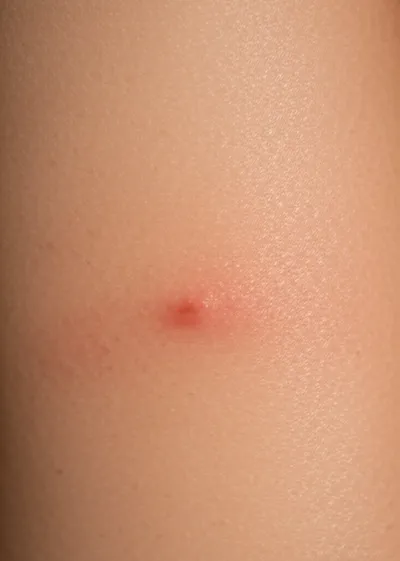 Illustration wales - Image 1