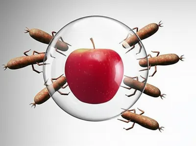 Illustration antioxidant - Image 2