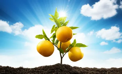 Illustration lucky - Image 1