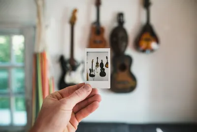 Illustration plucked - Image 2