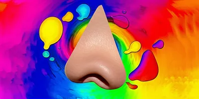 Illustration or - Image 1