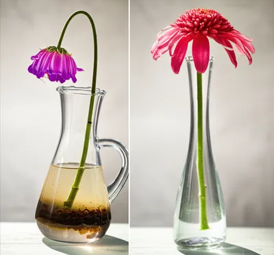 Illustration stale - Image 1