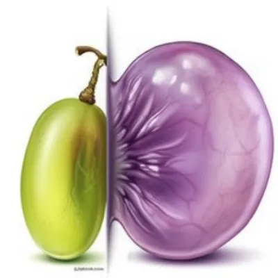 Illustration swelling