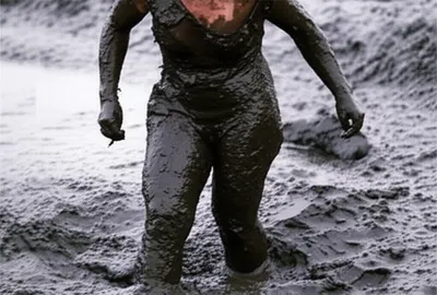 Illustration mires - Image 1