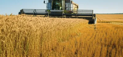 Illustration cropping - Image 1