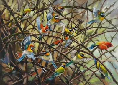 Illustration bars - Image 1