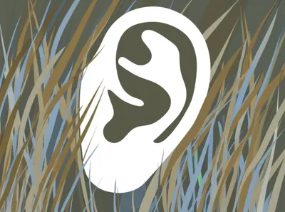 Illustration listening - Image 1