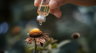 Illustration instilled - Image 1