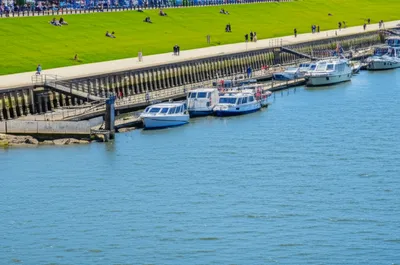 Illustration levee - Image 1